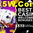 Sinta a adrenalina dos jogos de cassino com Bet5577
